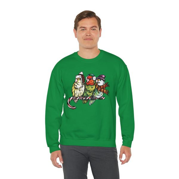 3 Lovebirds with Winter Wear, Perched on a Candy Cane Tee - Image 51