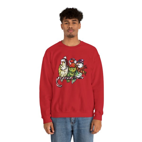 3 Lovebirds with Winter Wear, Perched on a Candy Cane Tee - Image 6
