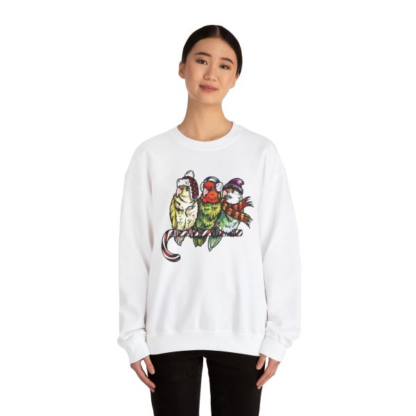 3 Lovebirds with Winter Wear, Perched on a Candy Cane Tee - Image 16