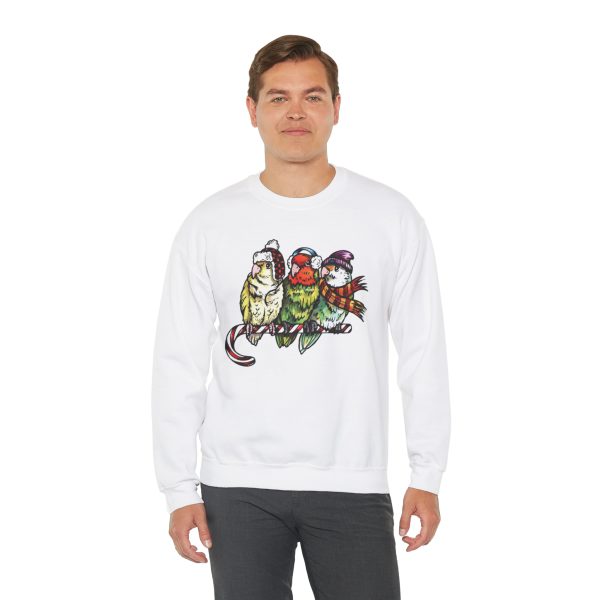 3 Lovebirds with Winter Wear, Perched on a Candy Cane Tee - Image 18